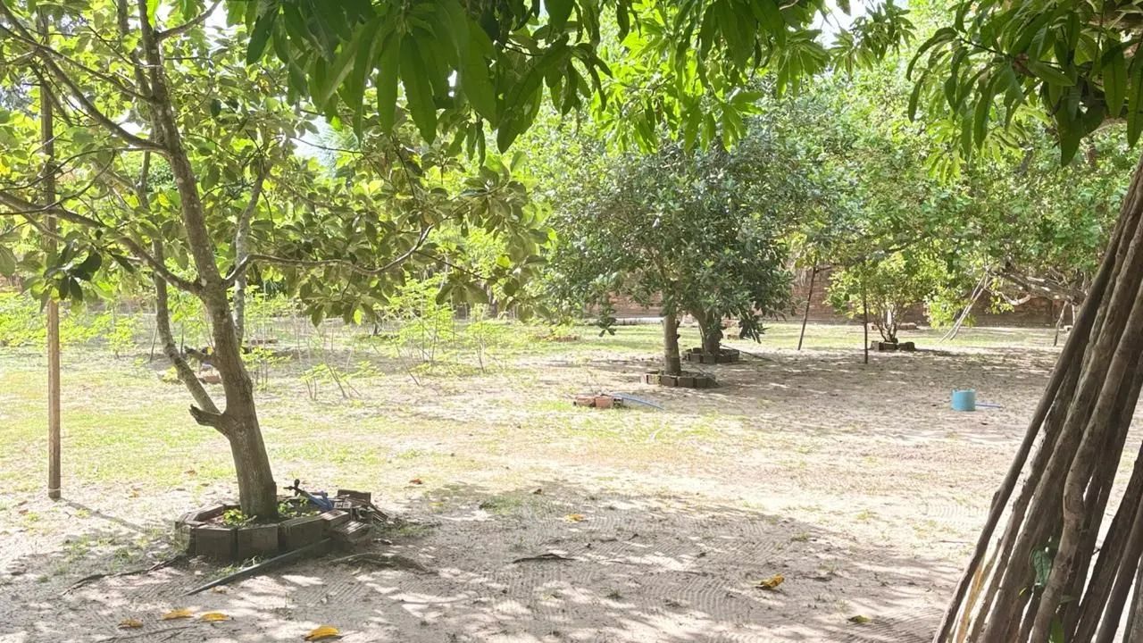 Vende-se sítio em Itapecuru Mirim, 2.900m2 - Foto 5
