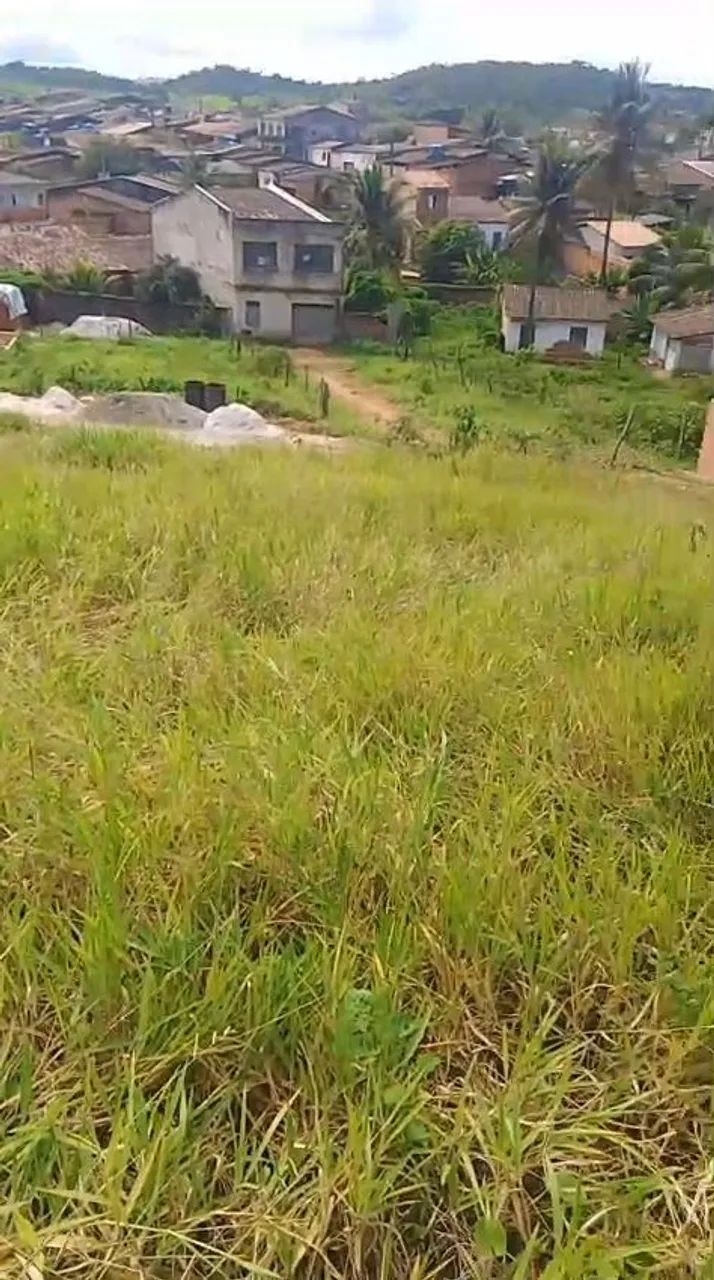 TERRENO  - Foto 2