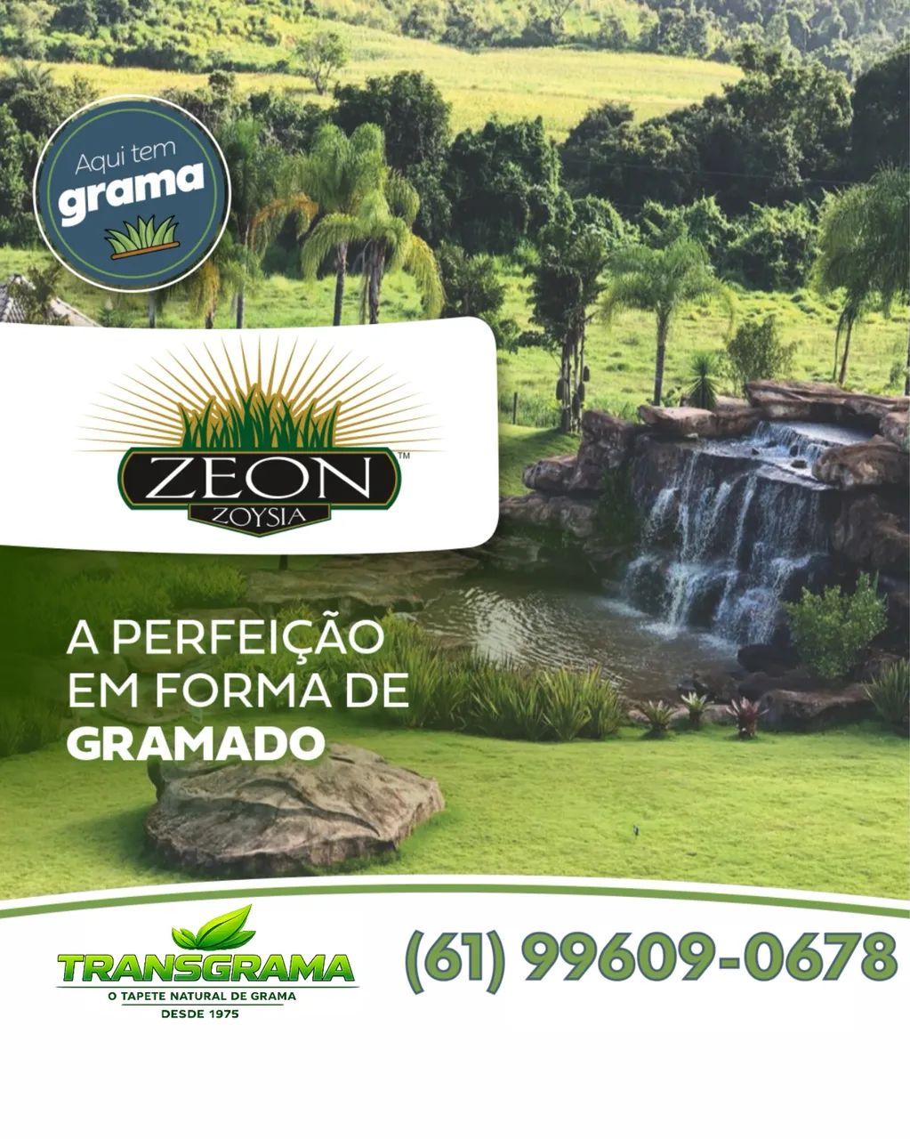 GRAMA BATATAIS, SÃO CARLOS, ZEON. - Foto 5