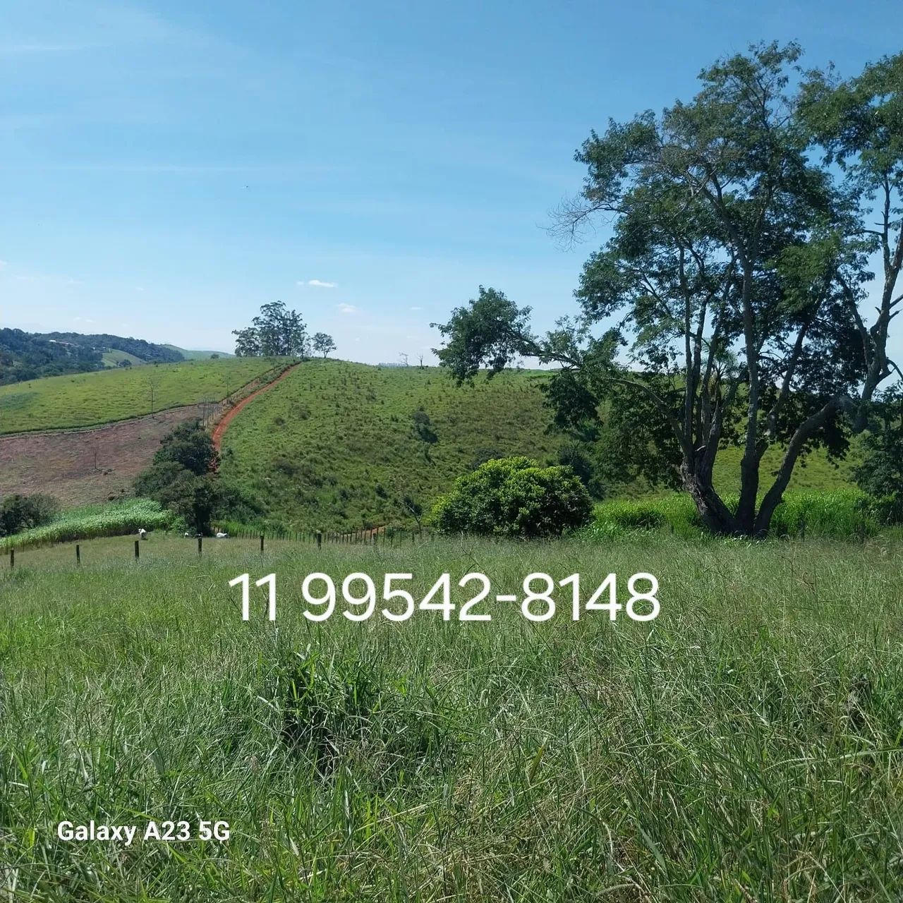 Terreno em Santa Isabel 1000m² - Sítio, Chácara, Casa