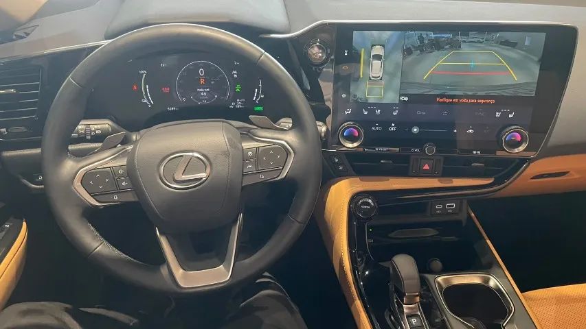 Lexus NX-450h+ AWD 2.5 16V Aut. (Híbrido), foto 14 de 15