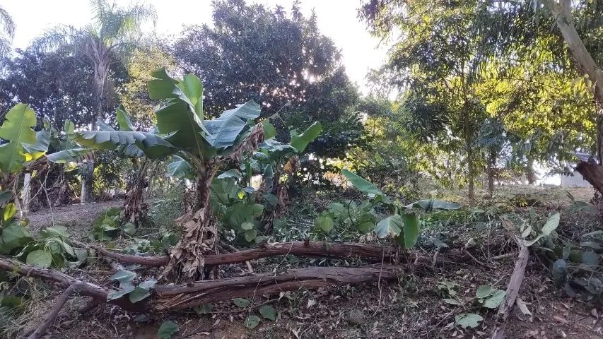 Terreno 500 metros - Foto 4