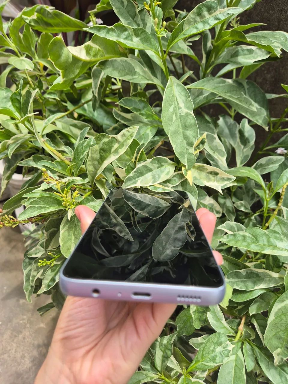 Samsung Galaxy 128GB - Foto 5