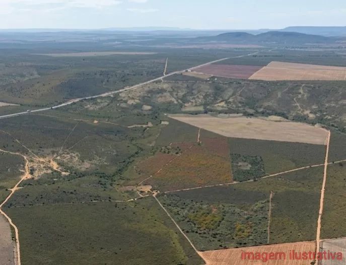 FAZENDA COM 248HEC EM GRAO MOGOL - Água e Energia Trifásica