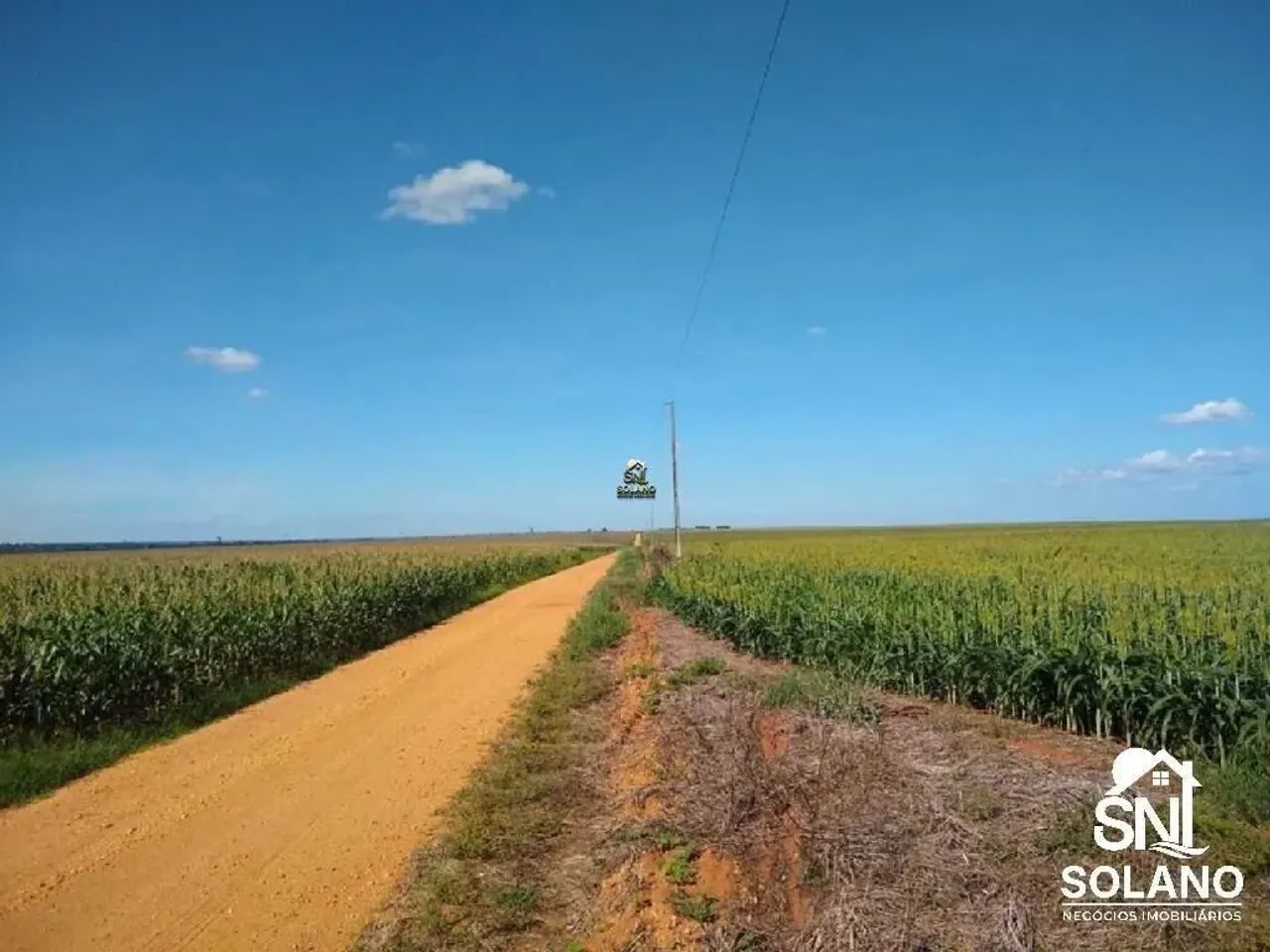 FAZENDA COM FABRICA DE ÓLEOS VEGETAIS EM NOVA MUTU/ MT. - Foto 4