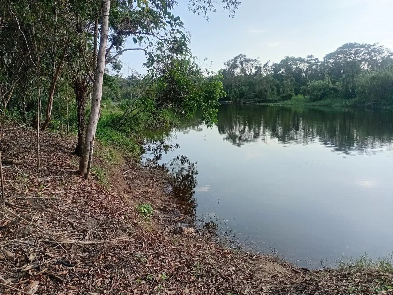 Foto - Itanhaém - Aguapeú