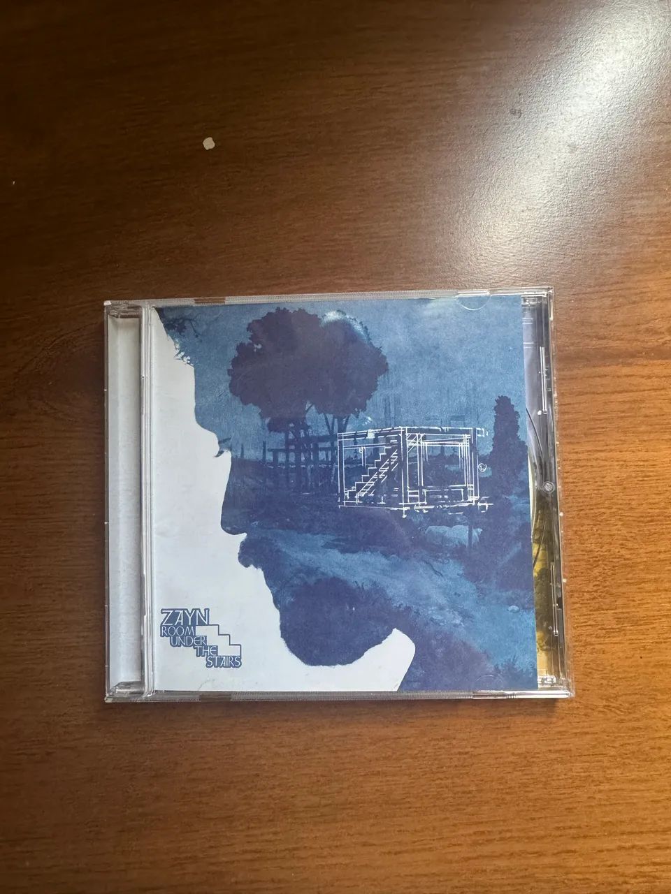 Zayn - RUTS (autografado)