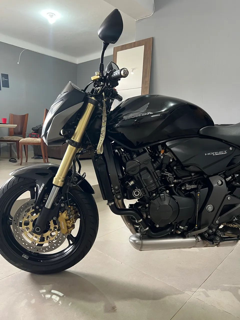 Hornet 600