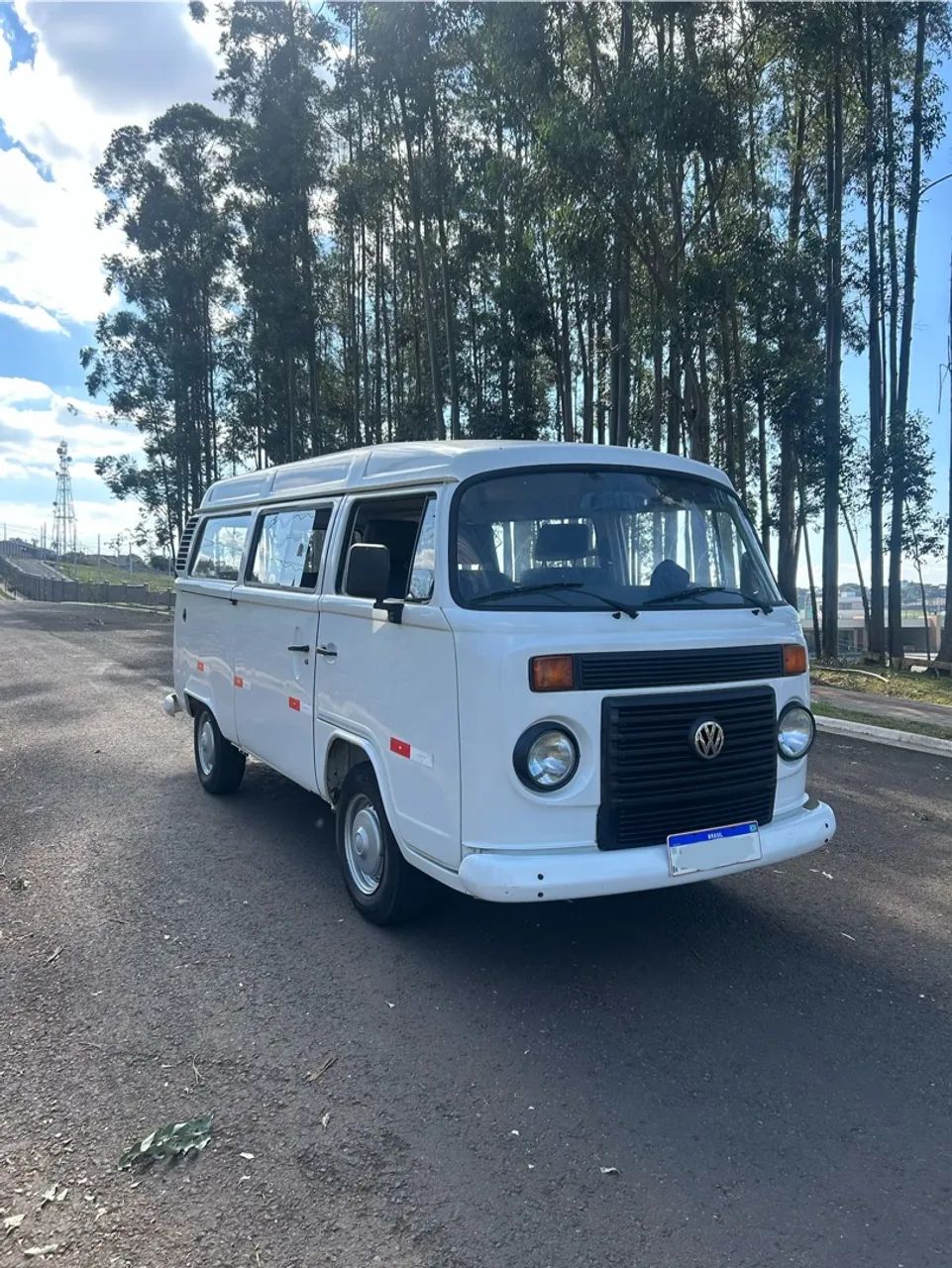 Volkswagen Kombi STANDARD 1.4 MI TOTAL FLEX 8V 2010