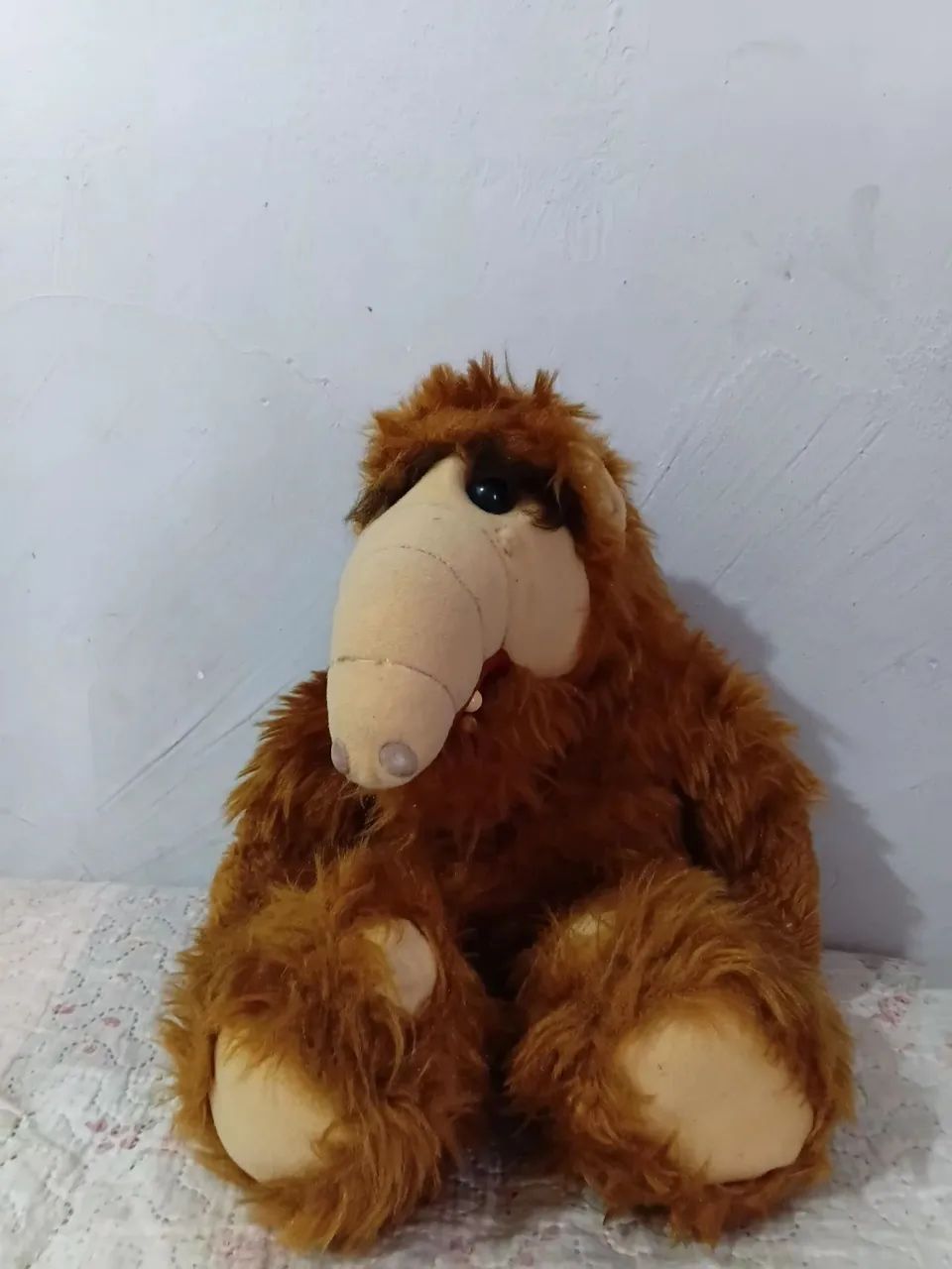 Vendo alf