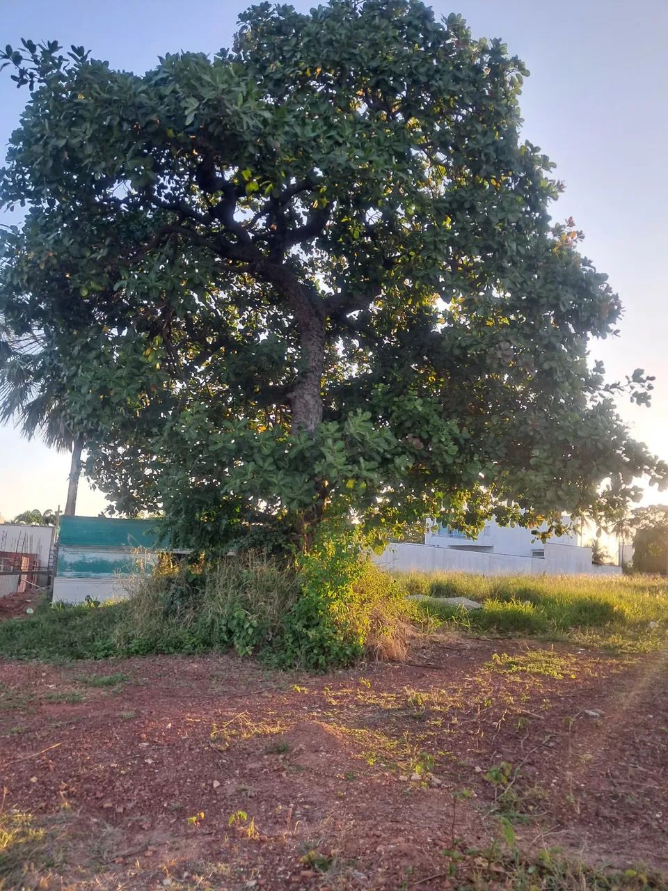 Vendo excelente lote no Vilas do Lago - Foto 5