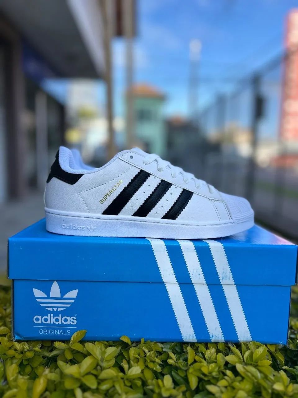 Tênis Adidas Superstar Branco