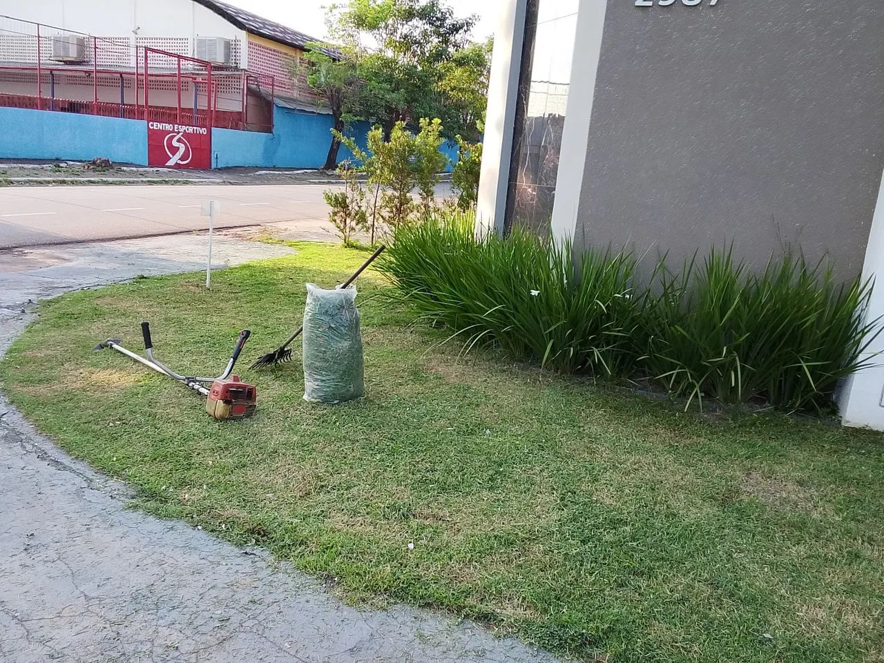 Limpeza de jardim e Roçado interessado no chat 