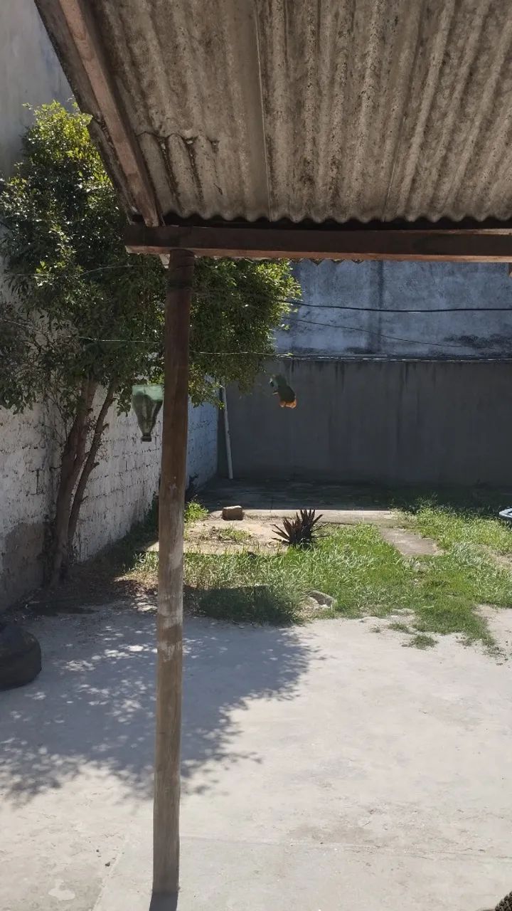 kitnet casa na Gloria - 2 quartos - Foto 2