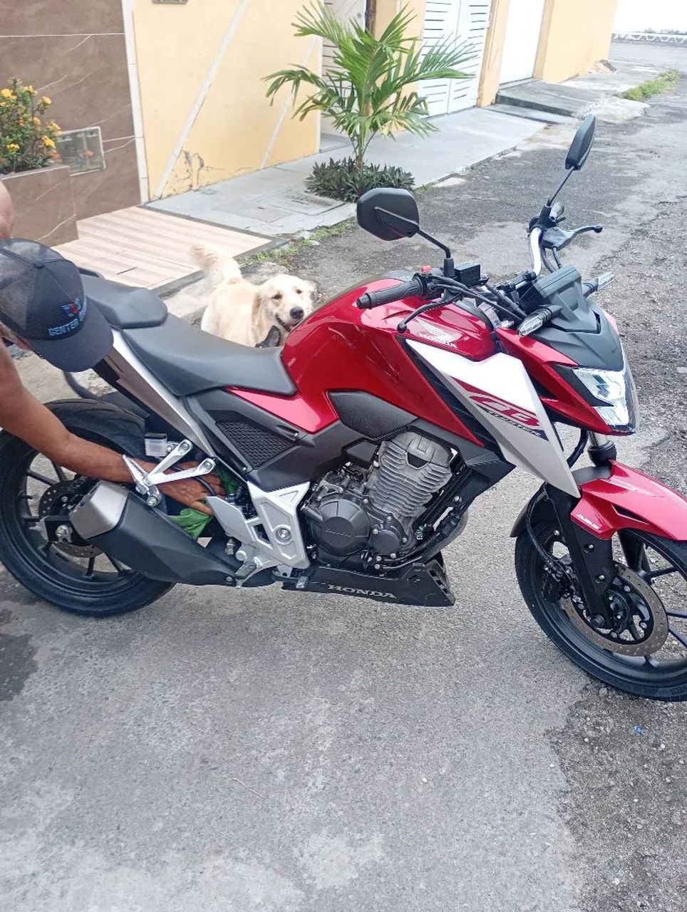 Cb300F - Foto 4