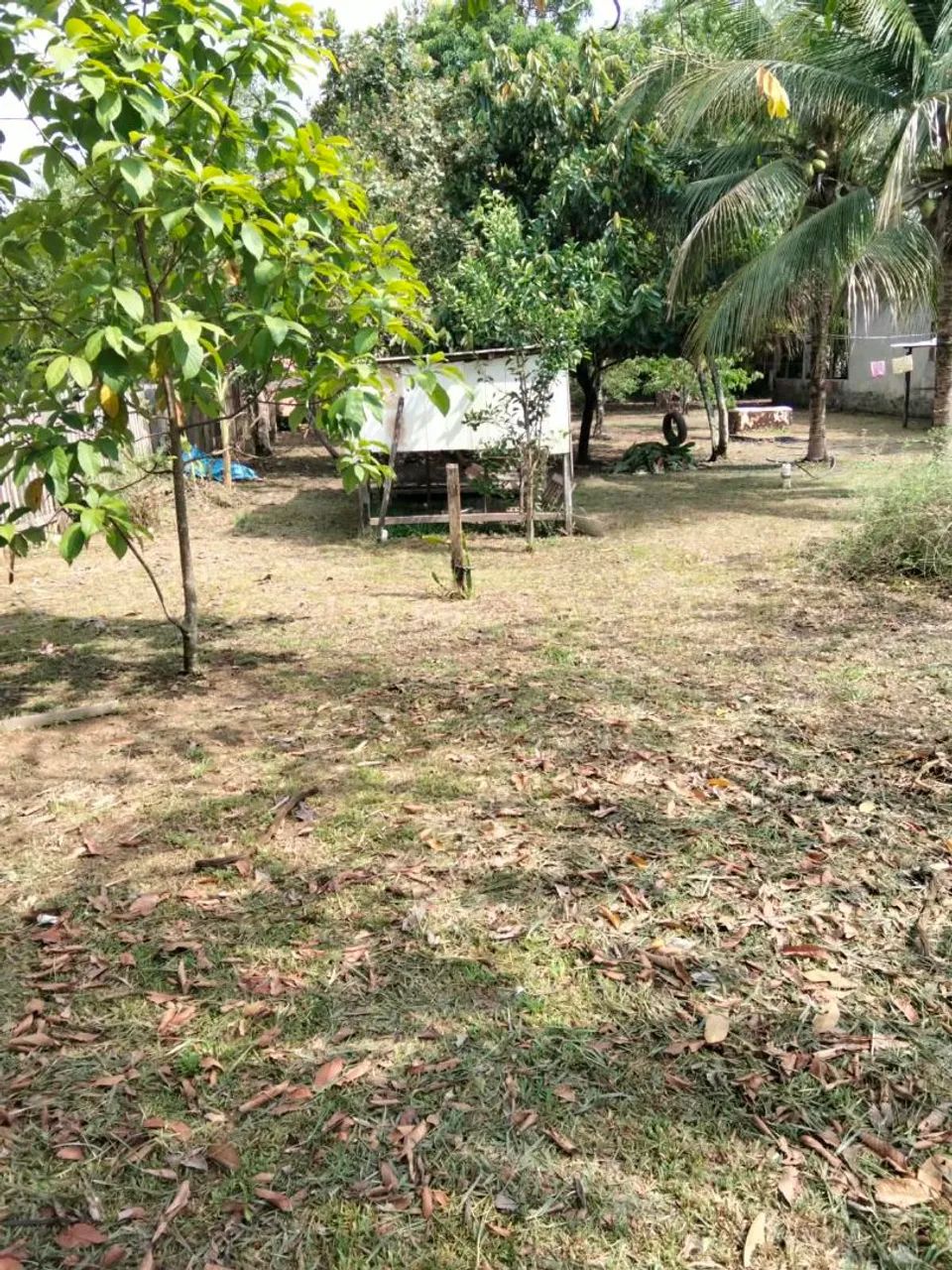 Mini chacara - Foto 3