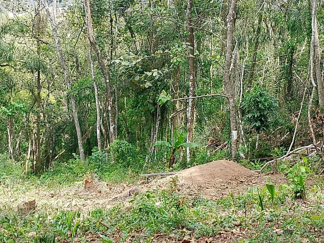 vendo ou troco  - Foto 3