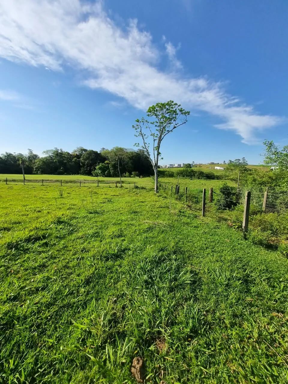 SÍTIO - Bairro Nossa Senhora de Fátima, Içara/SC