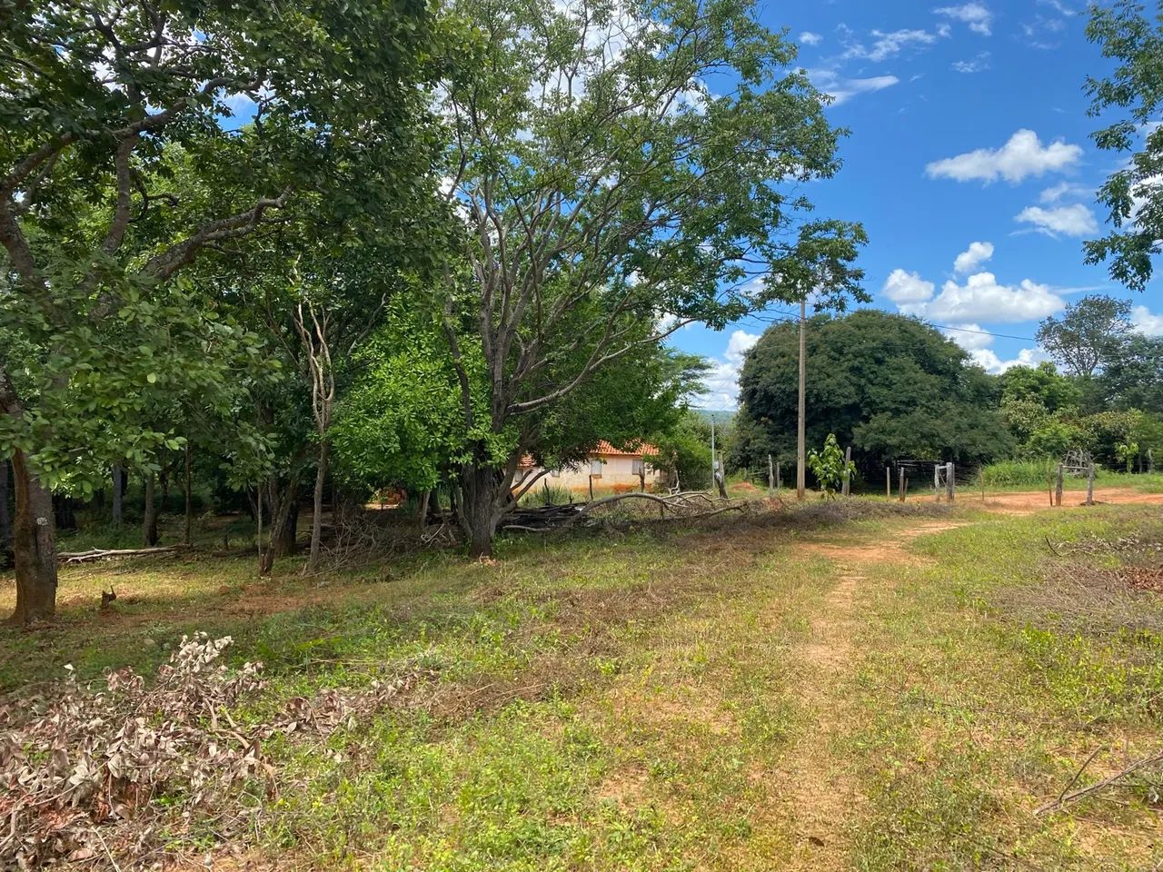 Terreno de 2,5 hectares com água e luz ?  - Foto 3