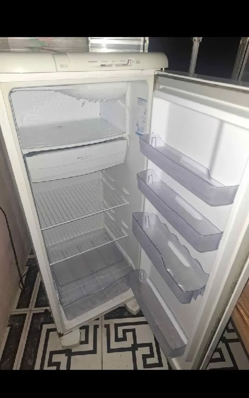 Geladeira 110