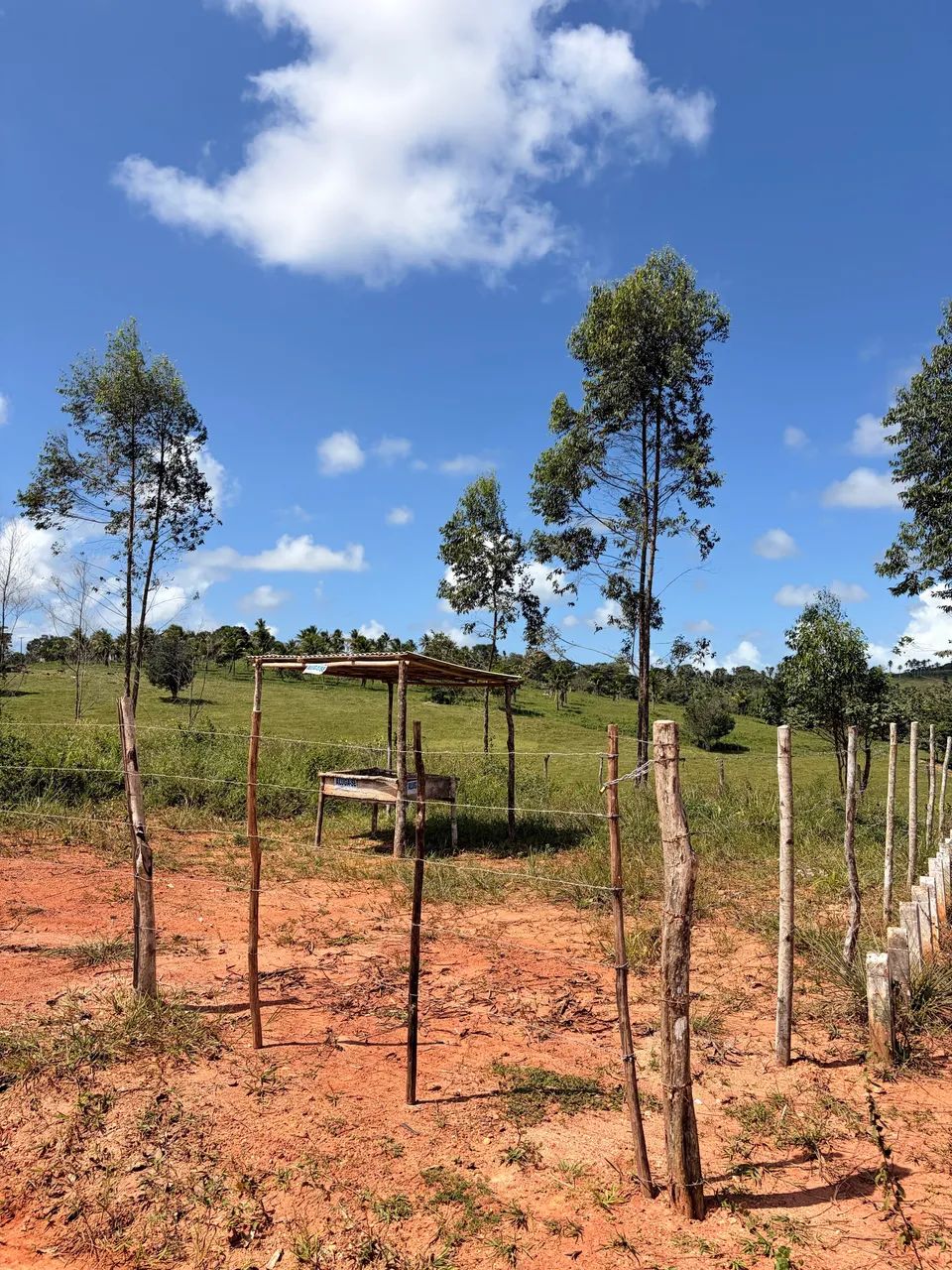 Terreno - Foto 5