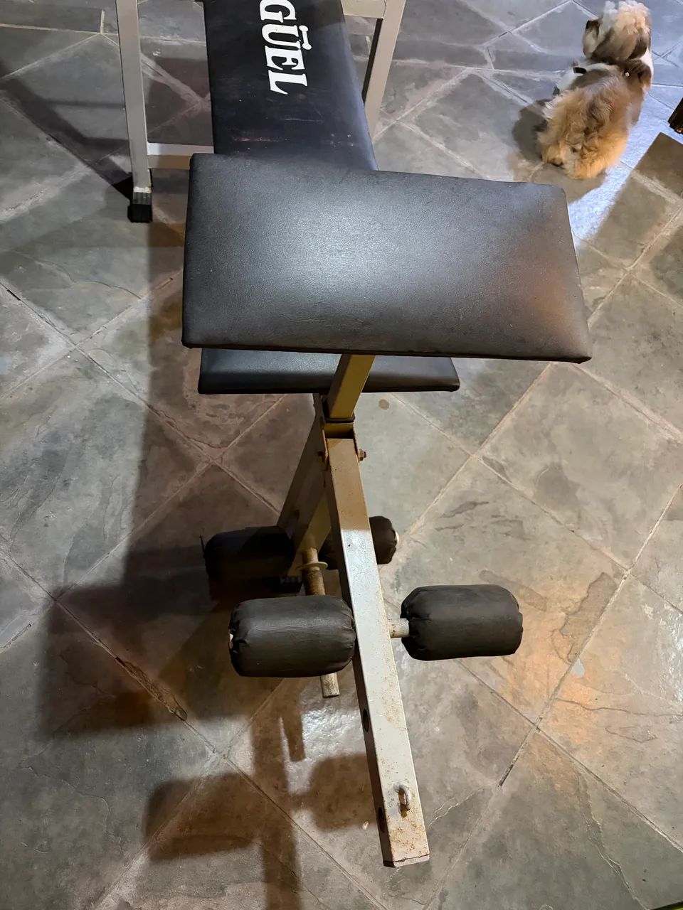 Banco de Supino Completo com Extensor de Pernas - Foto 4