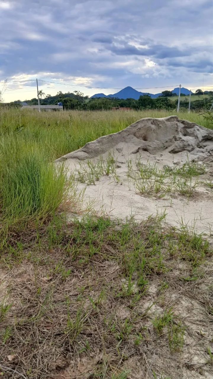 Foto - Rio de Janeiro - Freguesia (Ilha do Governador)