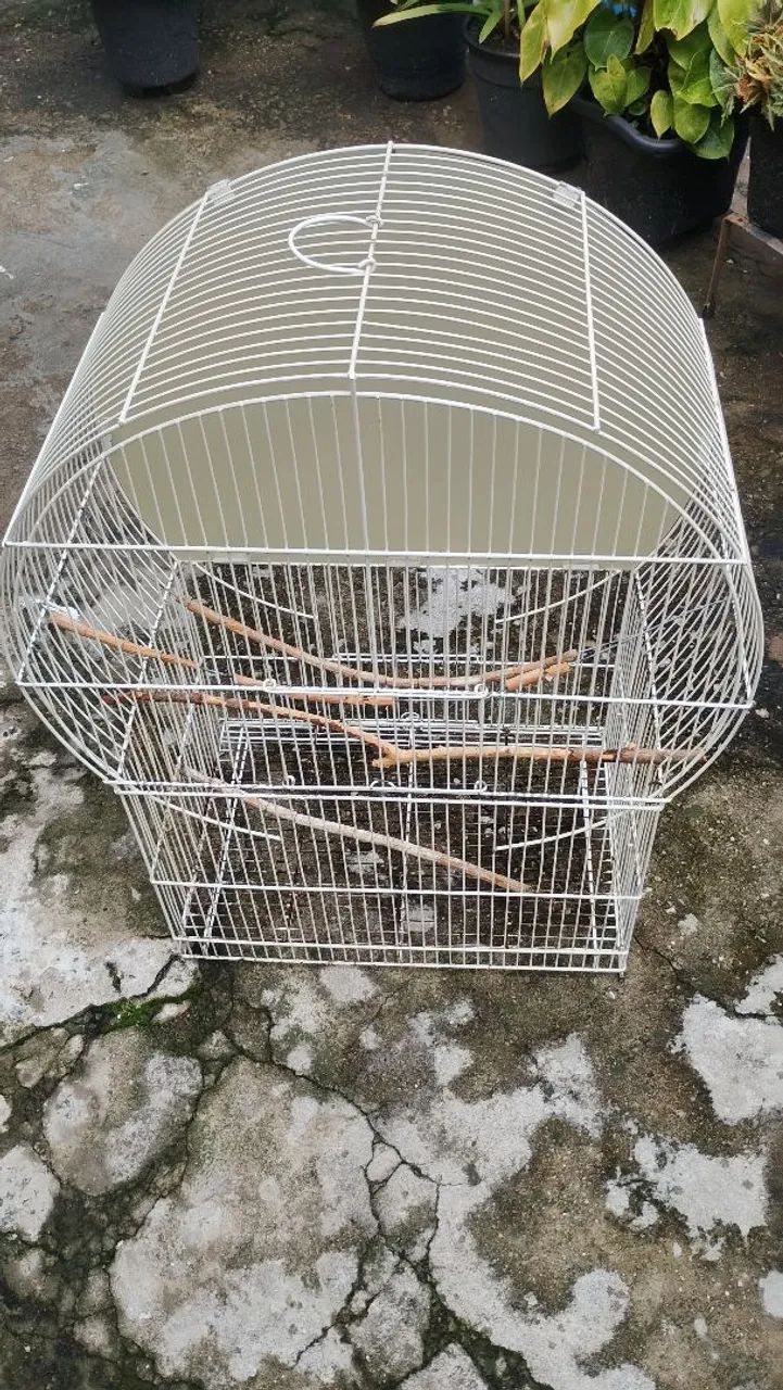 Viveiro para pássaros