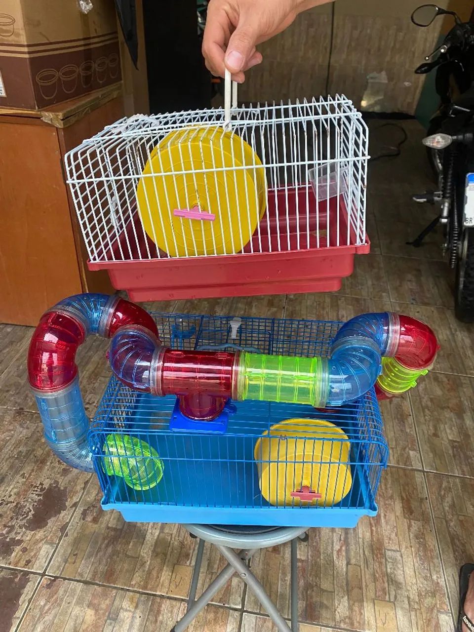 Casas de Hamster 