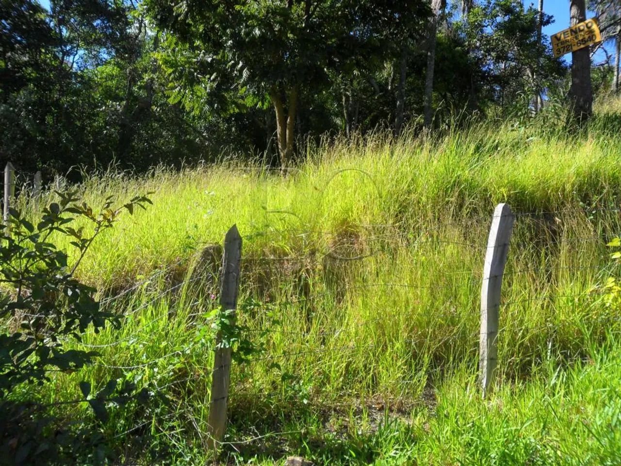 Terrenos Padrão em Poços de Caldas - Foto 2