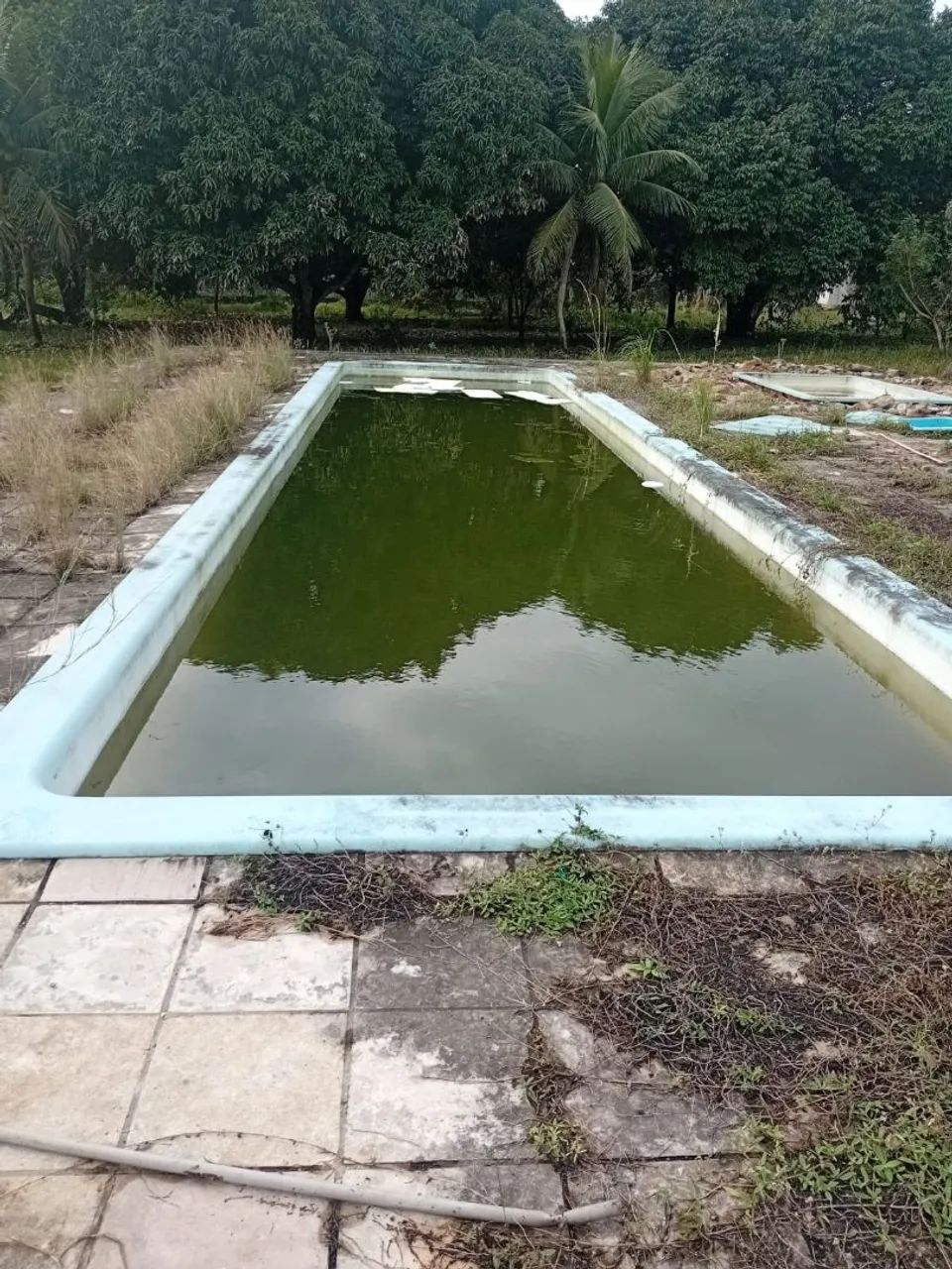 Piscina  - Foto 4