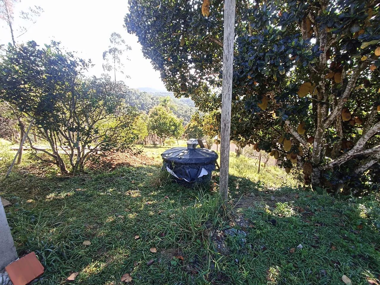 Ótima oportunidade de investir  chácara linda  - Foto 2