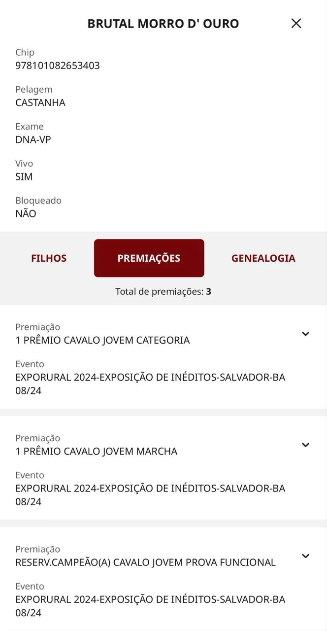 Cavalo mangalarga registrado de batida - Foto 3