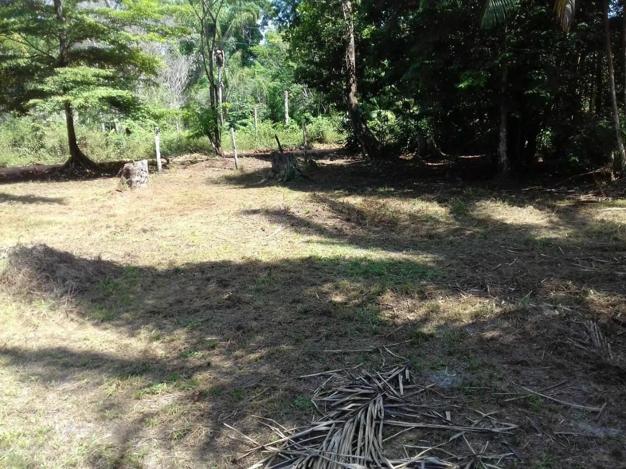 Lotes em Cotijuba  - Foto 4