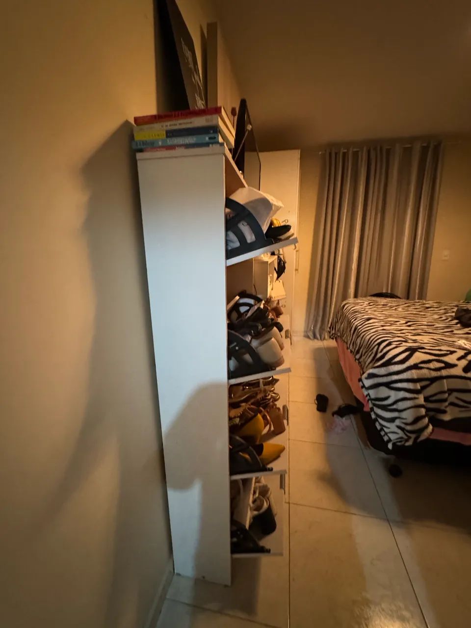 Sapateira - Foto 4