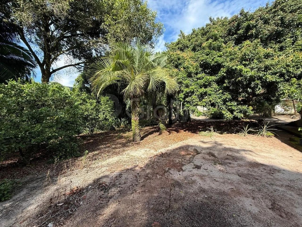 Terreno de 12.804,83m² no Monte Verde