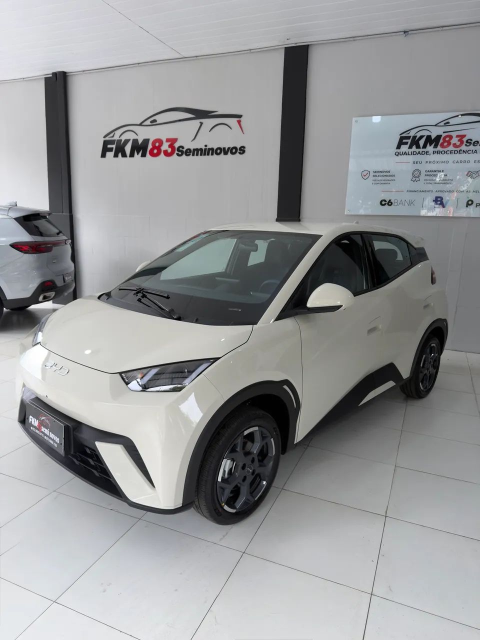 BYD Dolphin GS (Elétrico) 2027