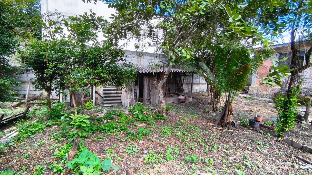 Residencial/comercial - Foto 5