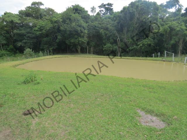 REF 240 Chácara 6000 m², açude com peixes, mata nativa, excelente casa, Imobiliária Paletó - Foto 14