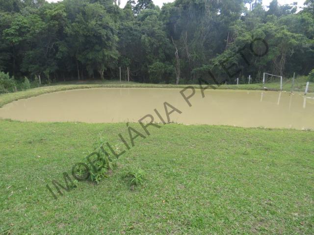 REF 240 Chácara 6000 m², açude com peixes, mata nativa, excelente casa, Imobiliária Paletó - Foto 18