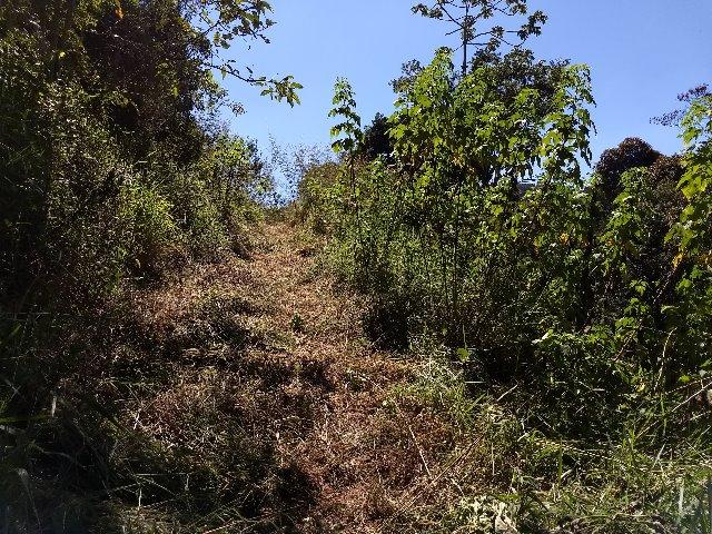 Excelente terreno em Teresópolis