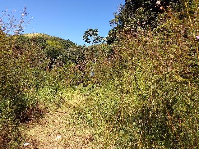 Excelente terreno em Teresópolis - Foto 4