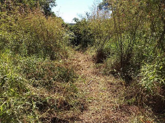Excelente terreno em Teresópolis - Foto 3