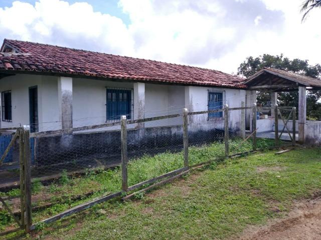 Excelente fazenda de pecuária e café na BR 101, - Foto 9