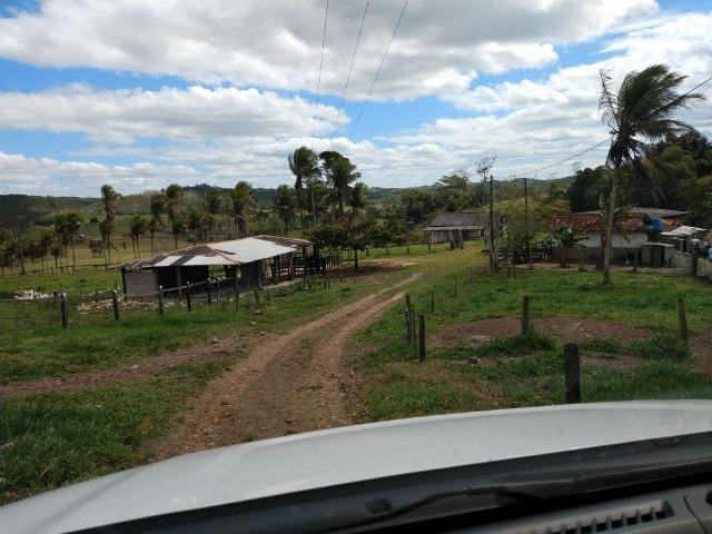 Excelente fazenda de pecuária e café na BR 101, - Foto 19