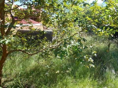 Terreno à venda em Jardim america, São leopoldo cod:9941 - Foto 4