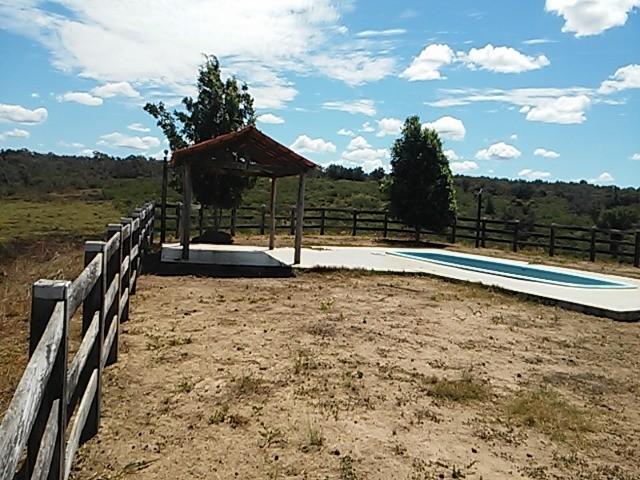 Fazenda de gado em formosa do rio preto. excelente. - Foto 5