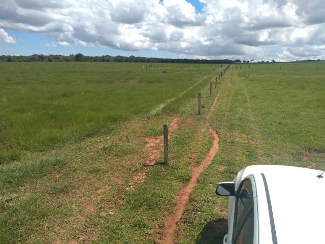Fazenda pecuária 320 alq. Mato Grosso do Sul - Foto 11