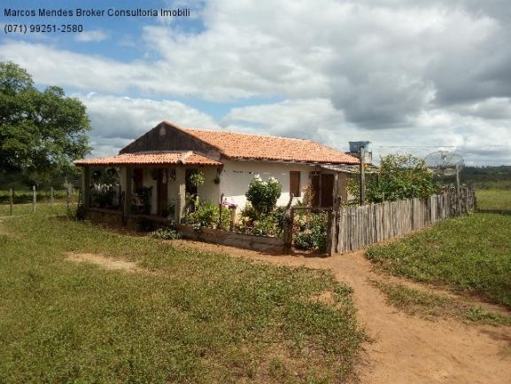 Fazenda a venda em baixa grande - bahia / brasil. - Foto 6