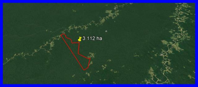 Fazenda para manejo de madeira no Acre ,Sena Madureira com 3112 hectares - Foto 2